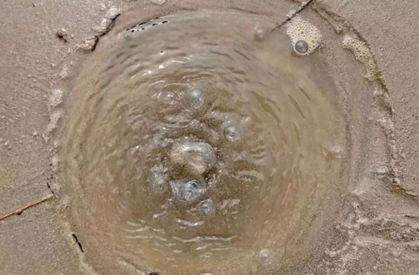 পদ্মার তীরে দিয়াশলাই ধরালে বালুতে জ্বলছে আগুন