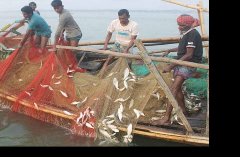 আজ থেকে শুরু জাটকা ইলিশ ধরায় আট মাসের সারাদেশব্যাপী নিষেধাজ্ঞা