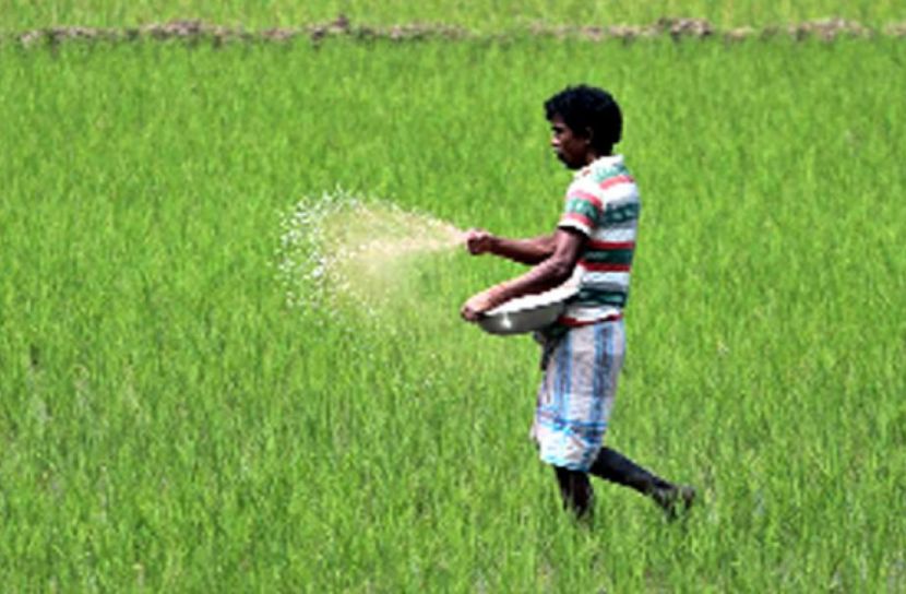 ভরা মৌসুমে মোরেলগঞ্জে সার সংকট, অতিরিক্ত দামে কিনতে বাধ্য কৃষকরা
