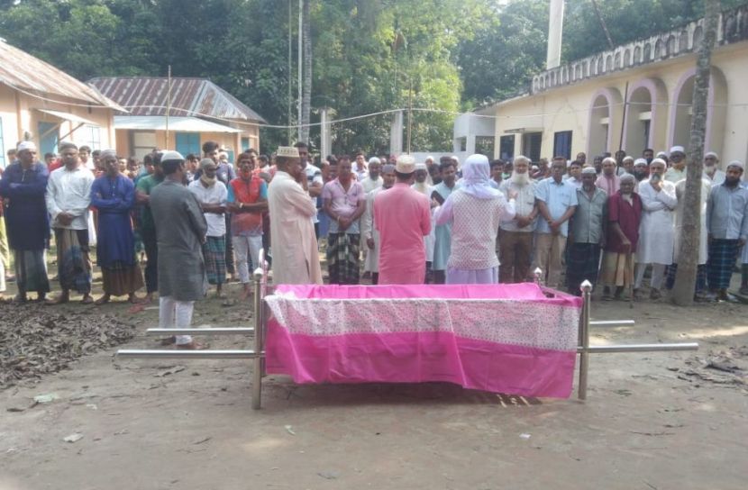 বোয়ালমারীতে ভীমরুলের কামড়ে শিশুর মৃত্যু