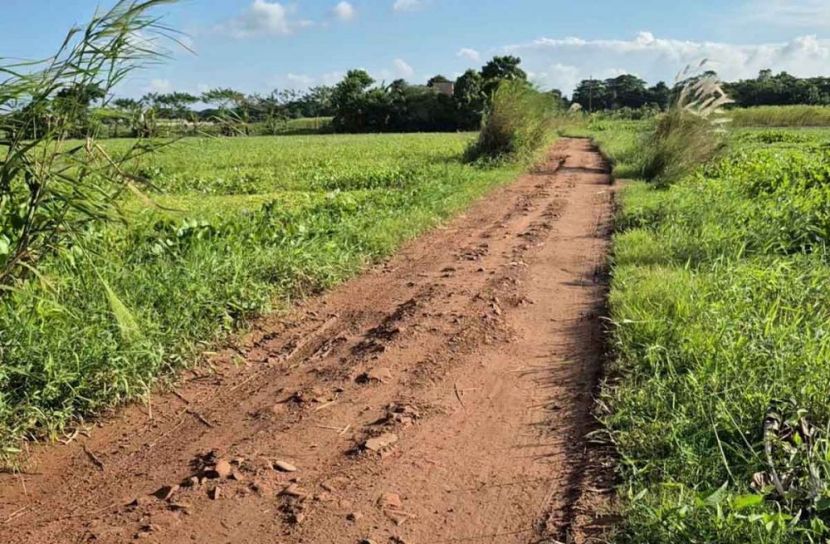 মাদারীপুরে কাবিটা-কাবিখা প্রকল্পে কোটি কোটি টাকা লোপাট
