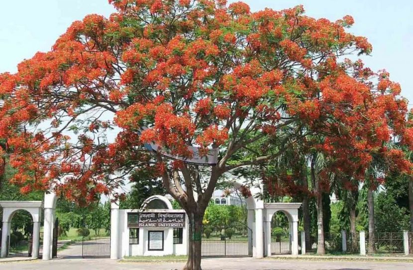 ইসলামী বিশ্ববিদ্যালয়ে ৪৭ বছরে ৪ সমাবর্তন, শিক্ষার্থীদের ক্ষোভ প্রকাশ