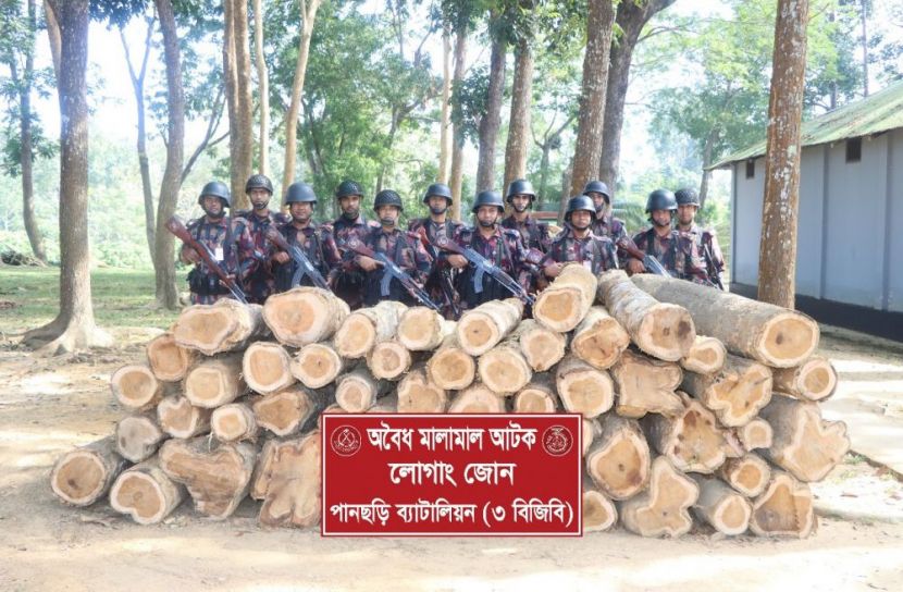 পানছড়িতে বিজিবি'র অভিযানে অবৈধ সেগুন কাঠ জব্দ