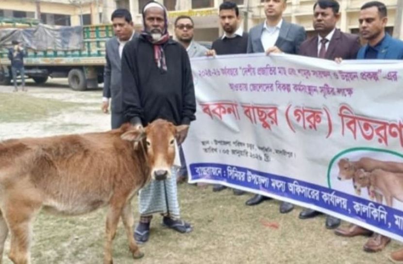 মাদারীপুরে জেলেদের মাঝে বাছুর বিতরণে অনিয়ম