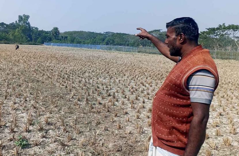 প্রবাসীর জমি দখল ও জোরপূর্বক ধান কাটার অভিযোগ