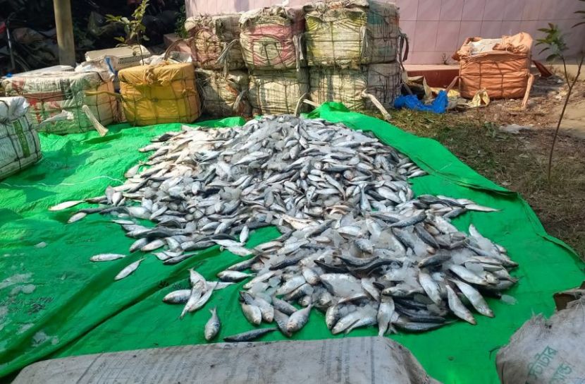 ছবি: সান নিউজ