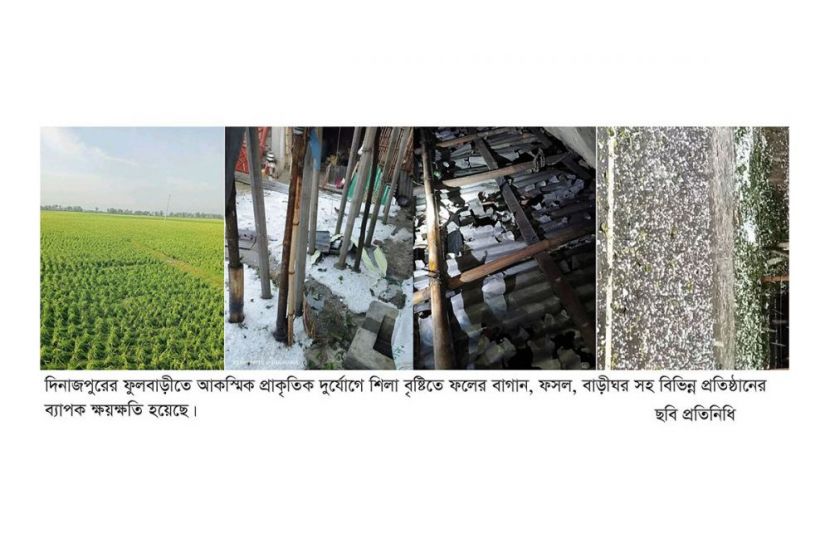 ফুলবাড়ীতে শিলা বৃষ্টিতে ব্যাপক ক্ষয়ক্ষতি