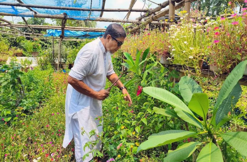 ৪৫ বছর ধরে বিনামূল্যে গাছ দিয়ে বেড়াচ্ছেন মাদারীপুরে রাজন মাহমুদ