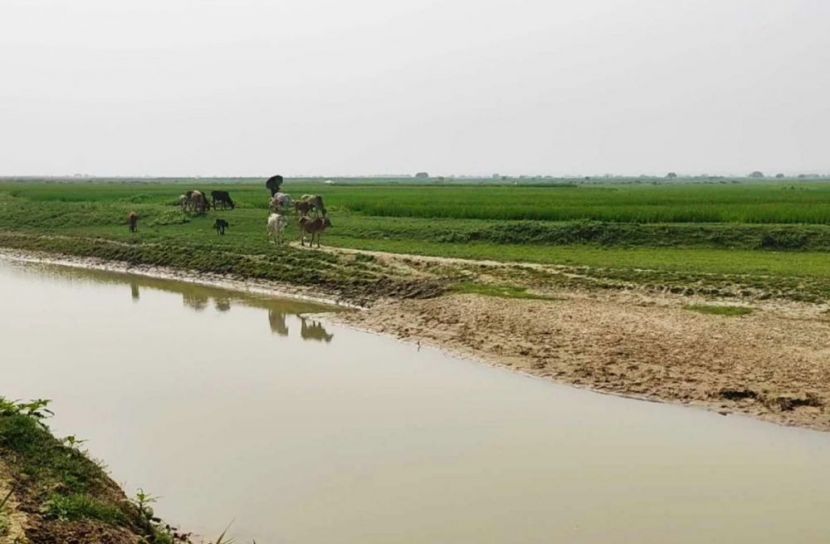 বিজিবির বাধায় নদীপথে ১৫ জনের পুশইন চেষ্টা ব্যর্থ বিএসএফের 
