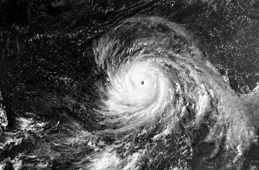 সুপার টাইফুন ‘বাভি’র তাণ্ডবে বিপর্যস্ত প্রশান্ত মহাসাগরীয় দ্বীপাঞ্চল