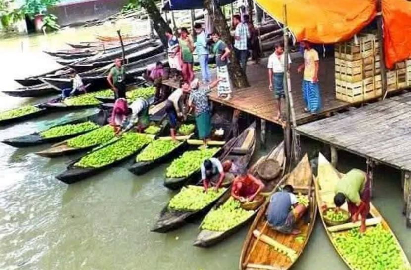 জমে উঠেছে ঝালকাঠির ভিমরুলী ভাসমান পেয়ারার হাট