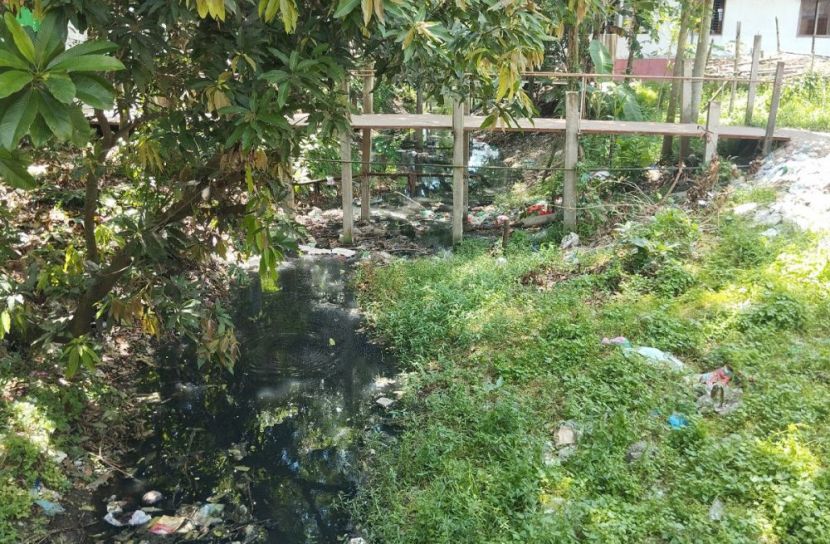ছবি: সান নিউজ
