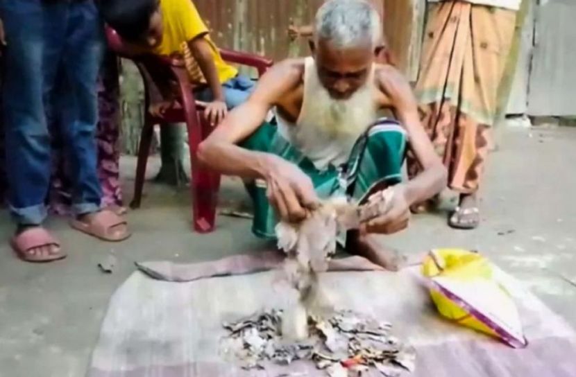 আলমারিতে জমানো স্ত্রী-সন্তানের ভবিষ্যৎ গড়ার স্বপ্ন নষ্ট করল ইঁদুর আর উইপোকা 