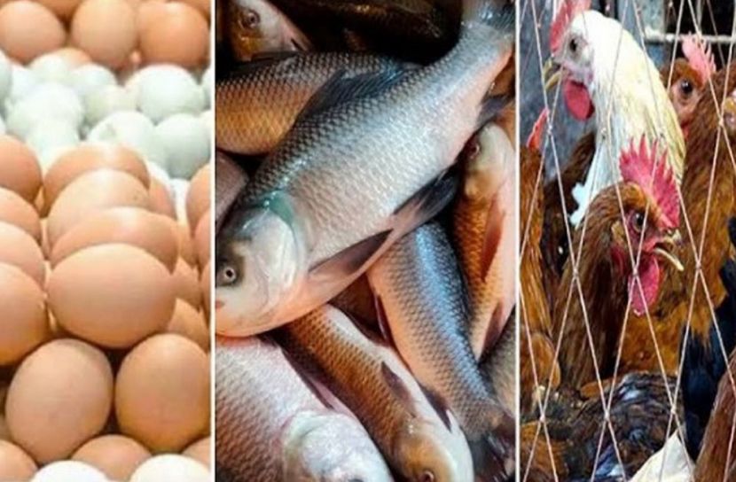 মাছ-মুরগি-ডিমের দামে আগুন, নাকাল নিম্ন-মধ্যবিত্ত