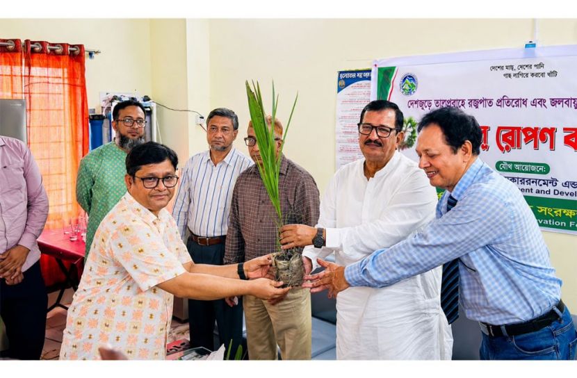 রাজশাহীতে এক হাজার তালগাছের চারা রোপণ কর্মসূচির উদ্বোধন