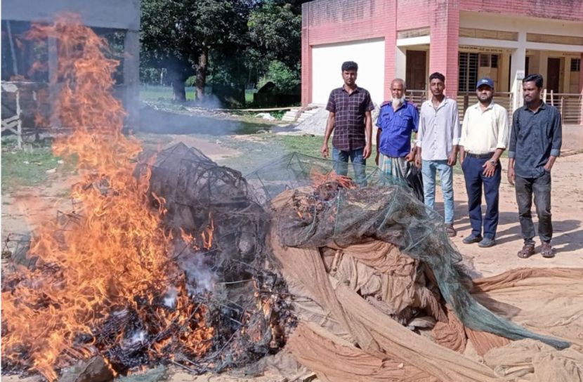 ভালুকায় দেশীয় মাছ রক্ষায় বিশেষ অভিযান: বিপুল পরিমাণ কারেন্ট জাল জব্দ ও ধ্বংস