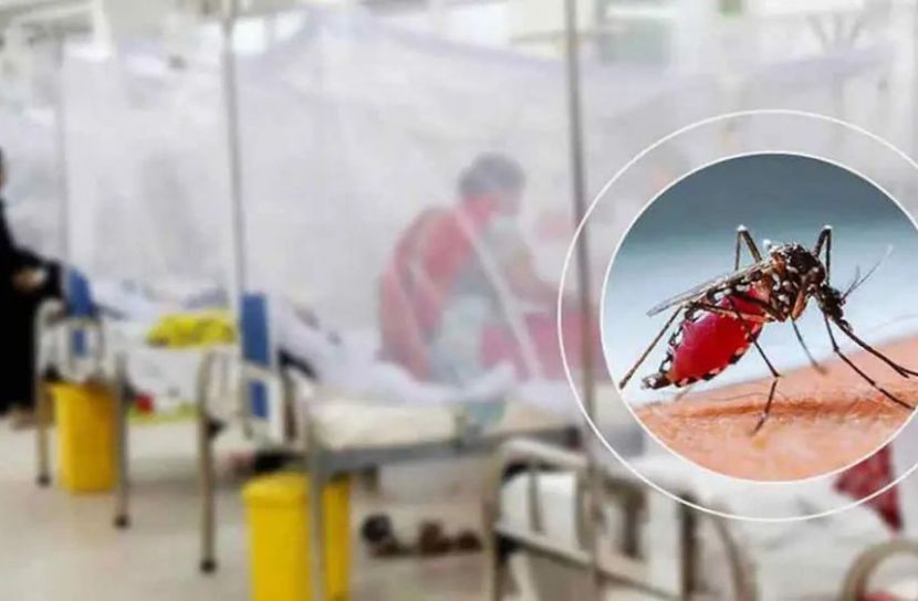 ডেঙ্গুতে আরও ৬ জনের মৃত্যু, হাসপাতালে ১৬০৮