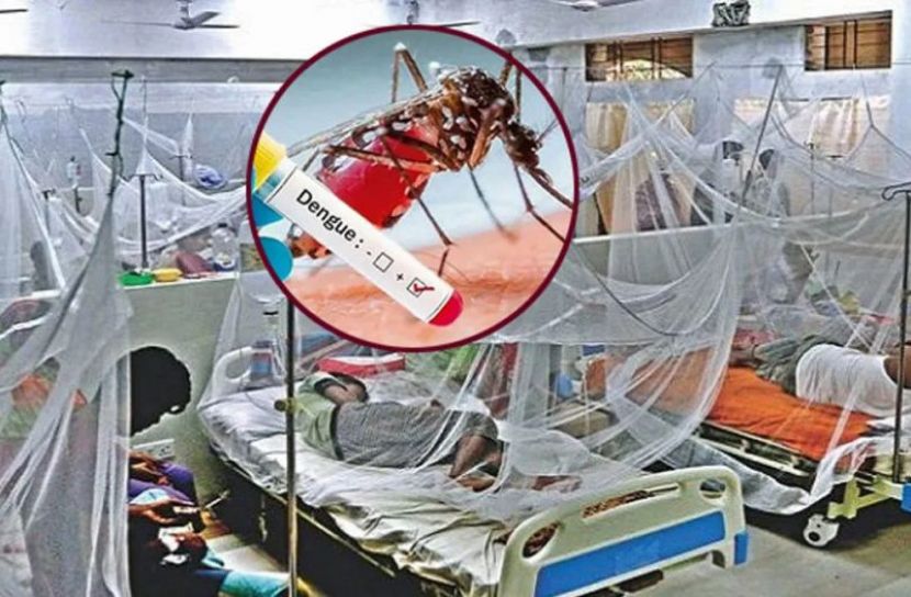 ডেঙ্গুতে ৬ জেলায় আরও ৯ জনের মৃত্যু