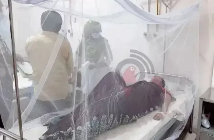 10 more die from dengue; 1,996 hospitalised in 24 hours